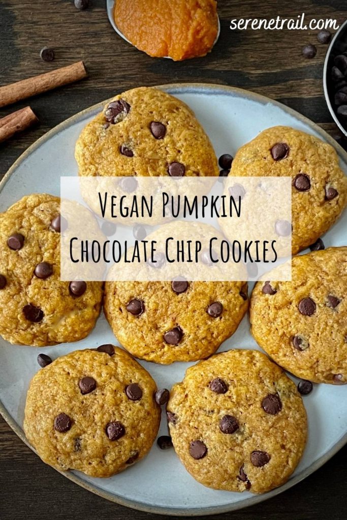 vegan pumpkin chocolate chip cookies pinterest pin 2