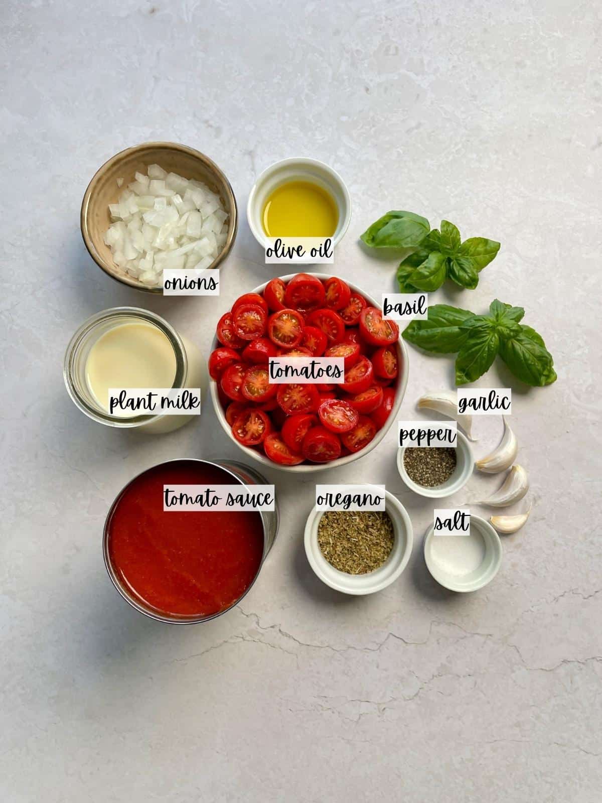 Sauce-ingredients-with-labels
