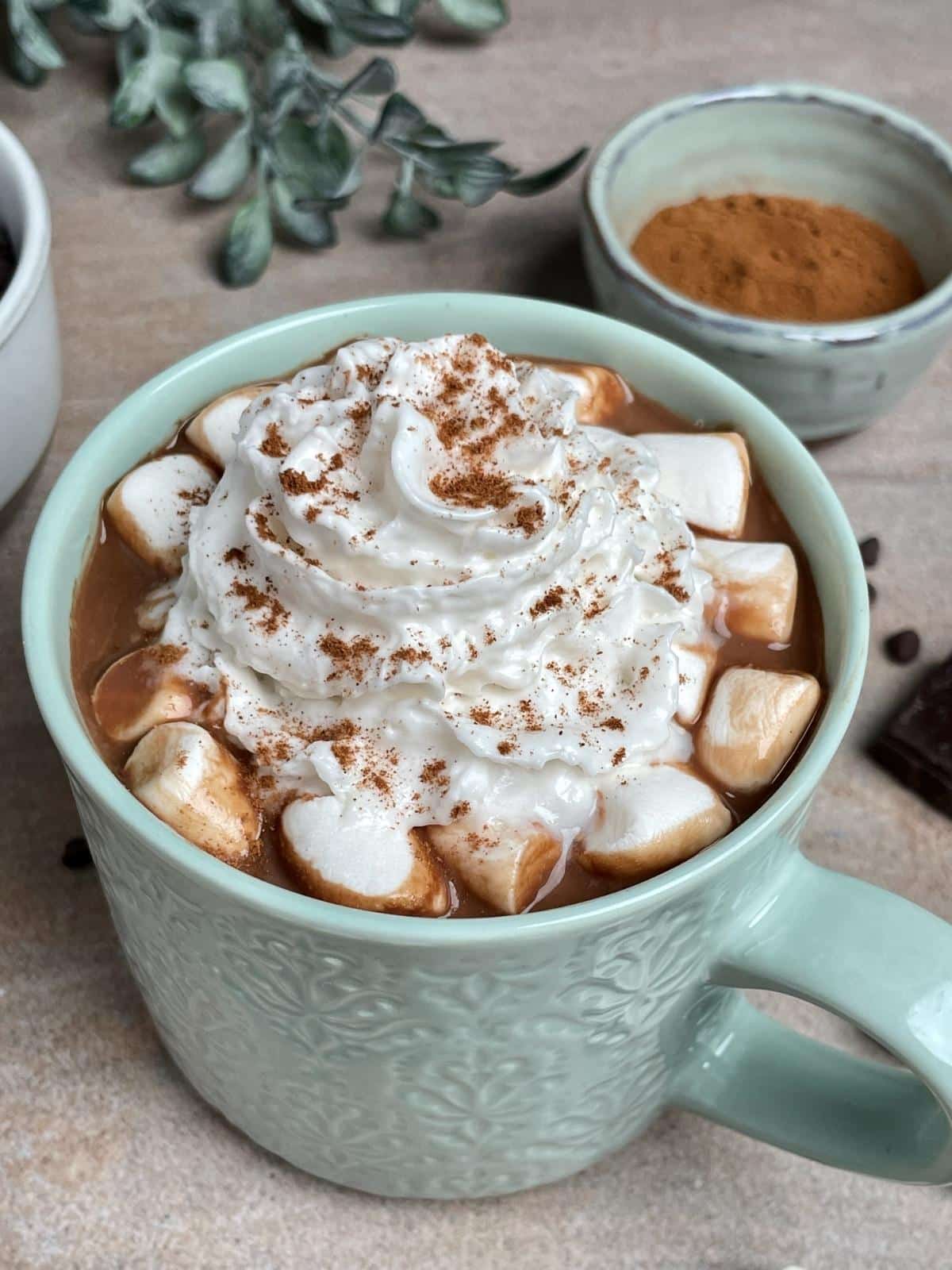 Hot chocolate with toppings.