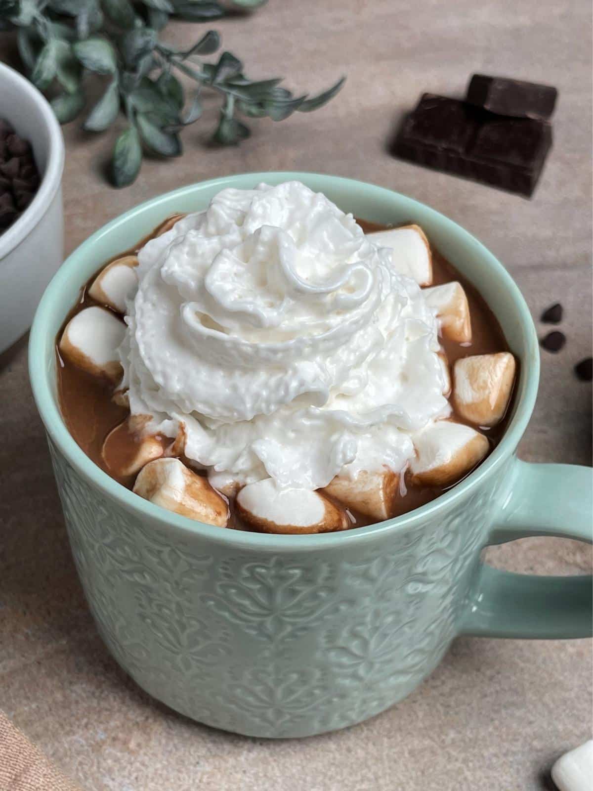 Hot chocolate with whipped topping.