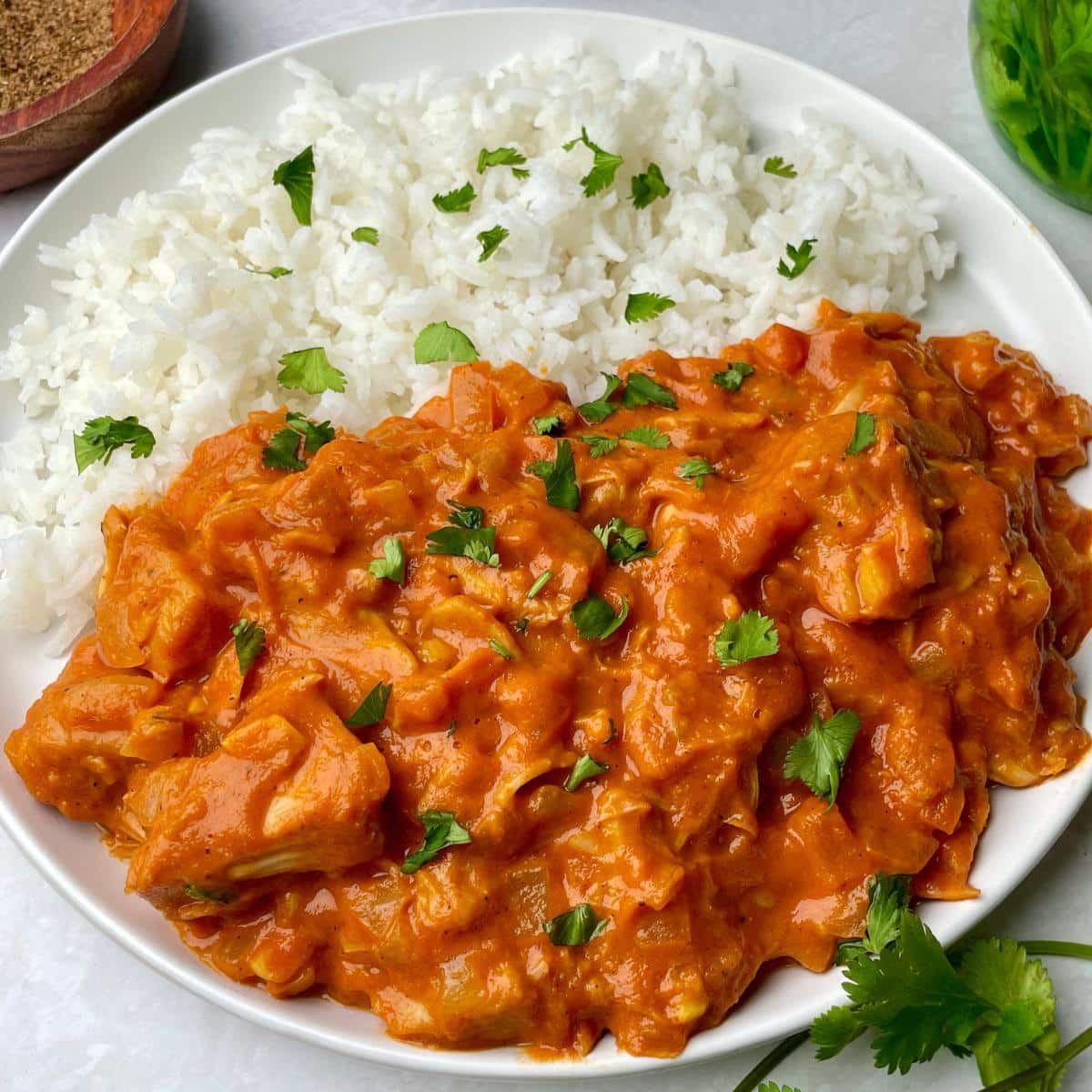 A plate with vegan tikka masala and a side of rice.
