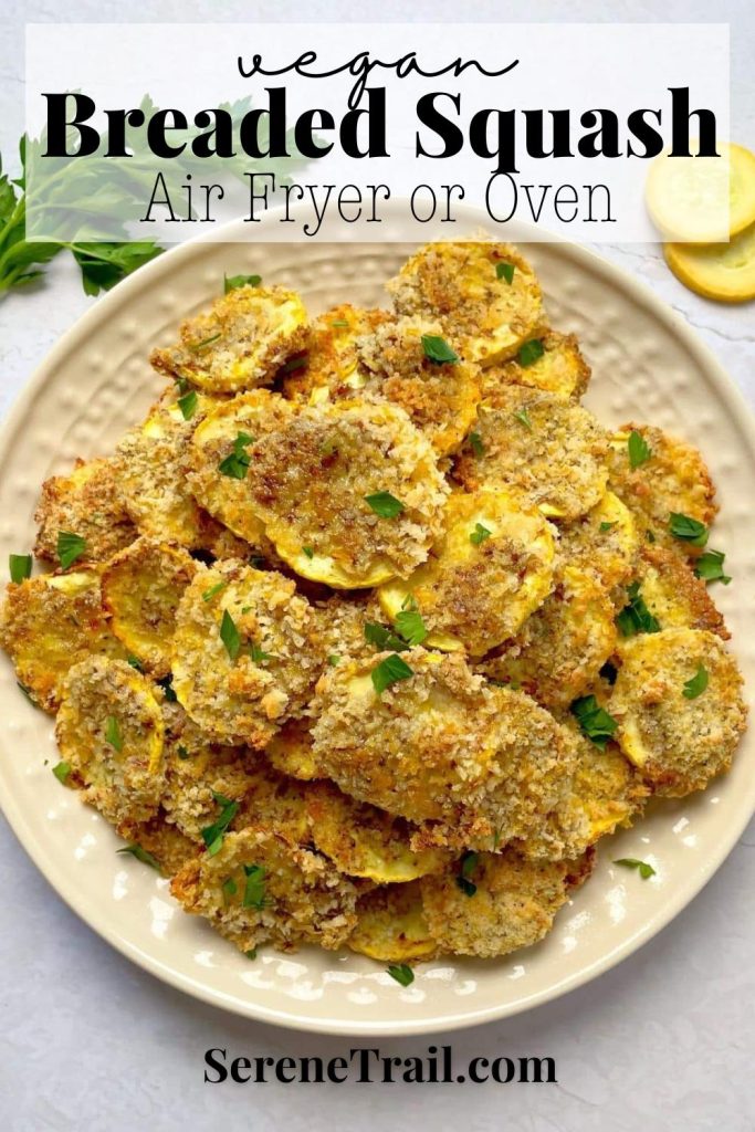 Pinterest pin of air fryer squash slices.