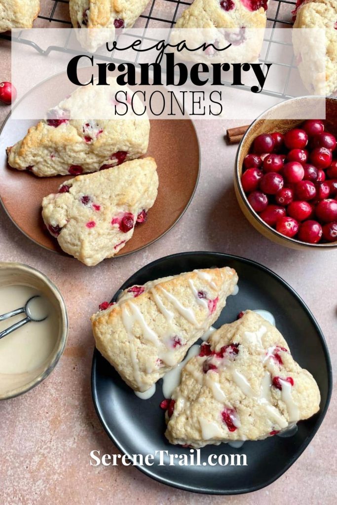 Pinterest pin of dairy free cranberry scones.