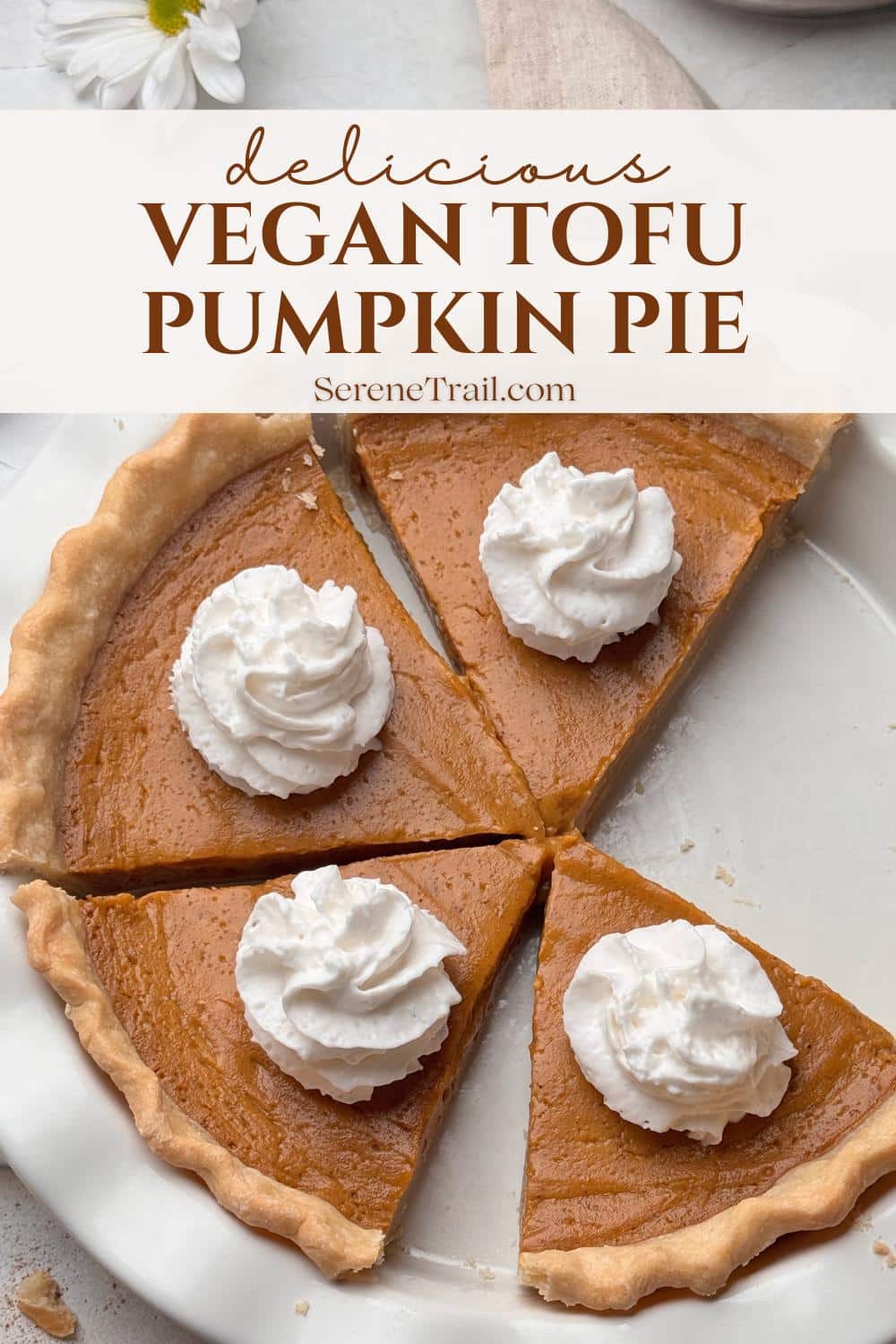 Pinterest pin image of tofu pumpkin pie.